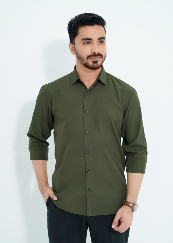 Olive Color